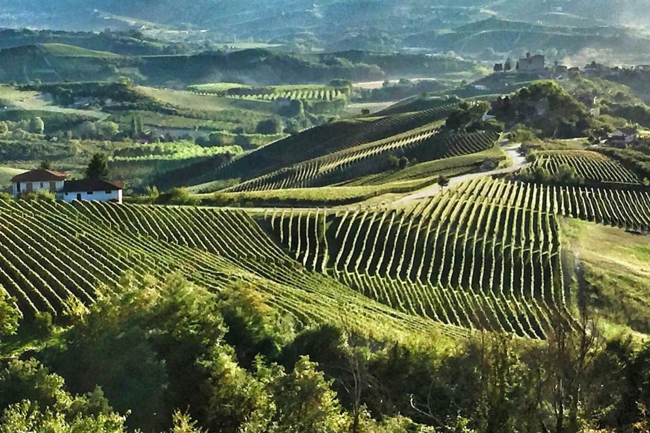 Casa Dei Nonni #Charminglanga Villa Grinzane Cavour Luaran gambar